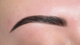 Close up of a professionally laminated brow with smooth defined hairs