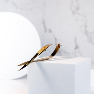 Eyebrow Spring Scissors Suzanne Egan Gold Tools Collection