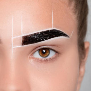 Brow Course Ciaobrow Beginners